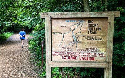 Big Rocky Hollow Trail Guide