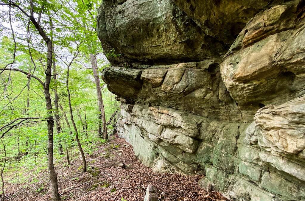 Shawnee National Forest for Beginners