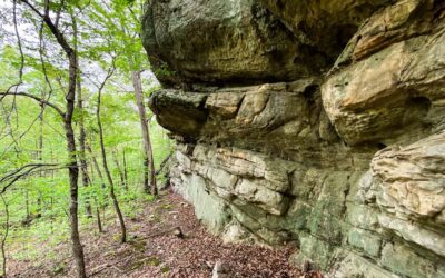 Shawnee National Forest for Beginners