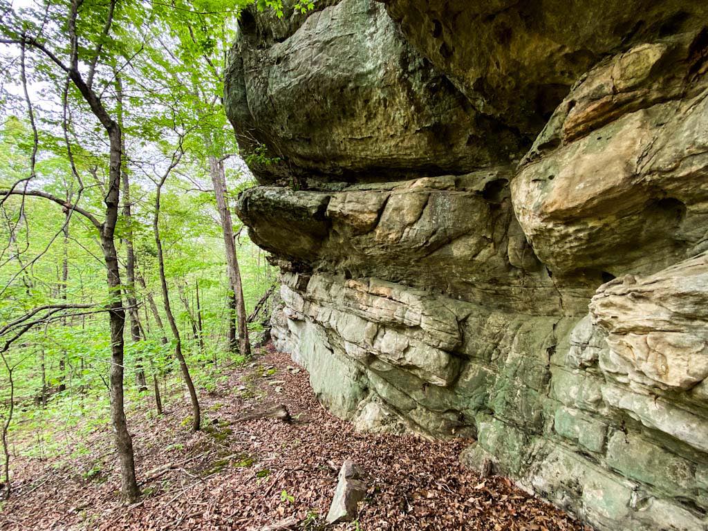 Shawnee National Forest for Beginners