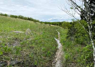 Trail Along Victoria Glades Conservation Area