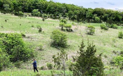 Victoria Glades Conservation Area Guide