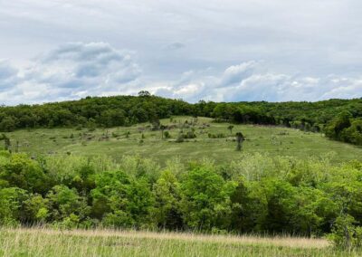 Victoria Glades Conservation Area Views