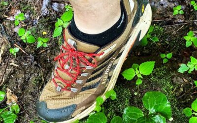Ultimate Review: Merrell Moab Speed 2 Coyote (Men’s Hiking Shoe)