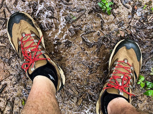 Merrell Moab Speed 2