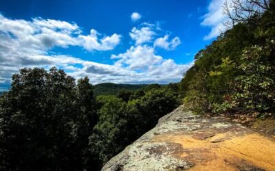 A Guide to Summer Hiking in the Shawnee National Forest