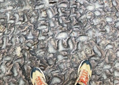 Cool Rock on the Spillway