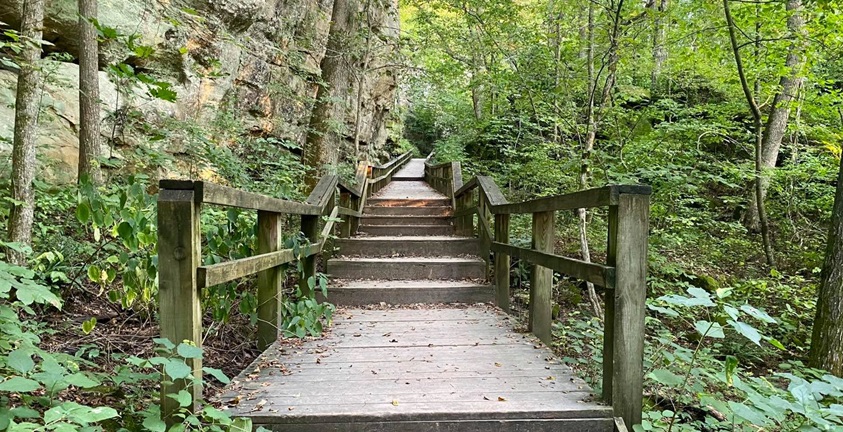 10 Easy Summer Hiking Trails in Southern Illinois