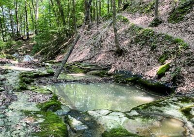 Buttermilk Hill Trail