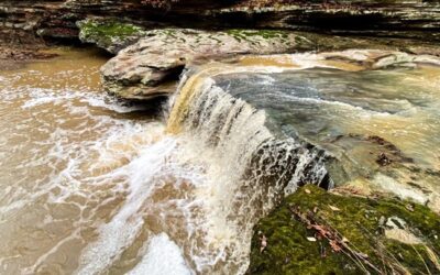 10 of My Favorite Waterfalls in Southern Illinois for 2025