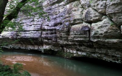 Indian Kitchen Trail Video Guide