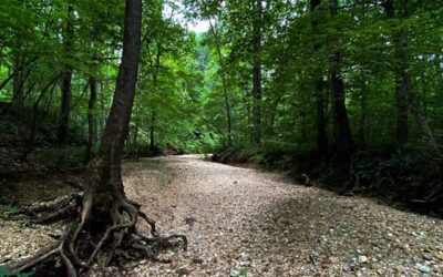 Camping at LBL in Hot Weather Video Guide