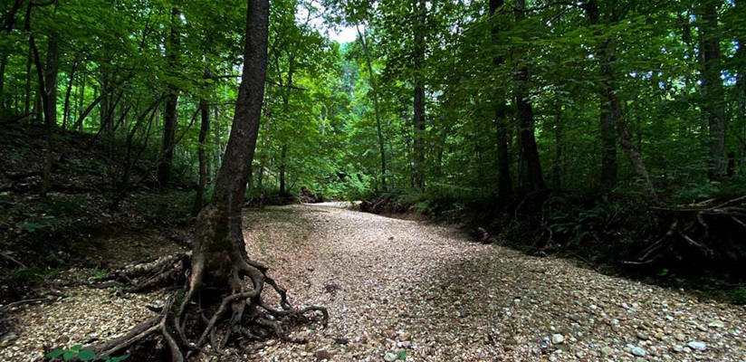 Camping at LBL in Hot Weather Video Guide Camping at LBL in Hot Weather Video Guide