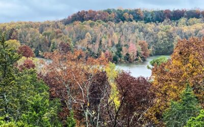 10 Trails to See Fall Colors in Southern Illinois