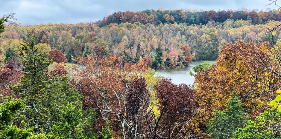 10 Trails to See Fall Colors in Southern Illinois