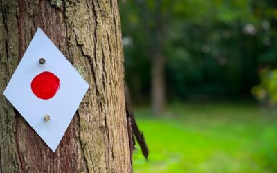 Red Cedar Backpacking Trip Video Guide