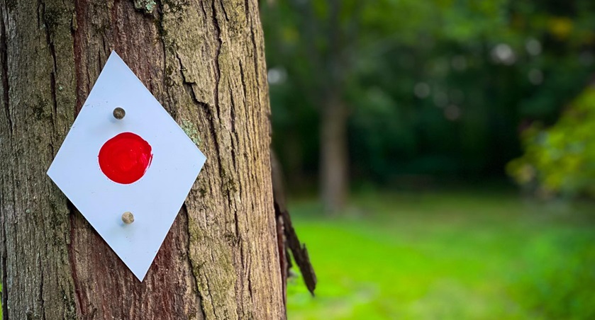 Red Cedar Backpacking Trip Video Guide