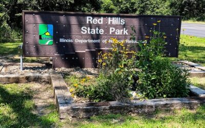 Red Hills State Park Guide
