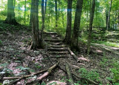 Red Hills State Park Hiking