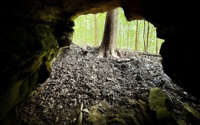 Wolfden Hollow Trail Video Guide