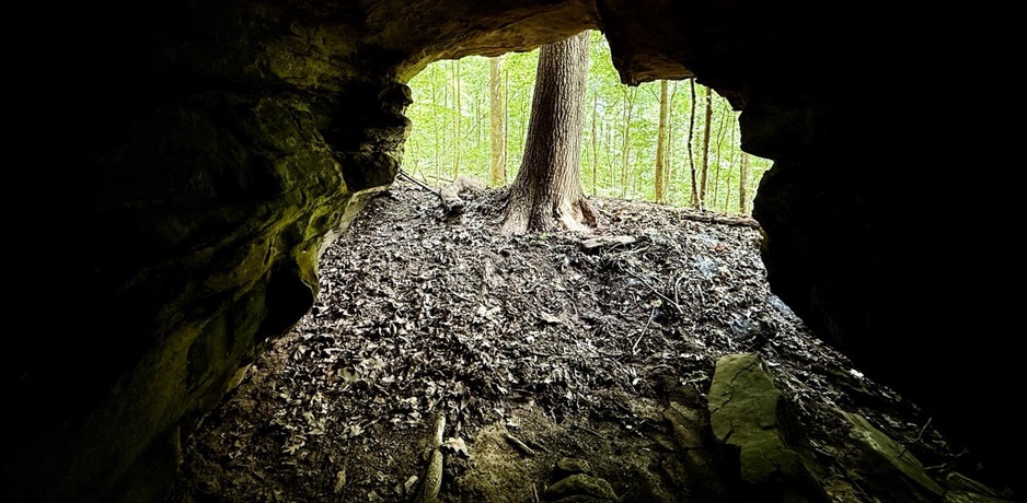 Wolfden Hollow Trail Video Guide