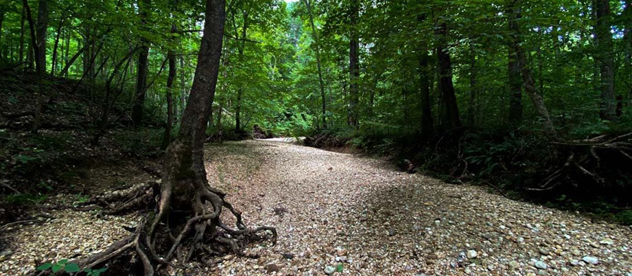 ASMR LBL Creek Hike Video