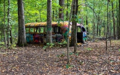 Homer’s Garage Video Guide