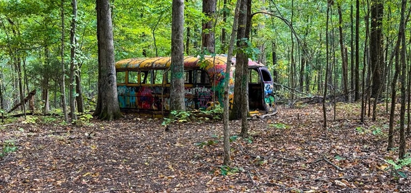 Homer’s Garage Video Guide