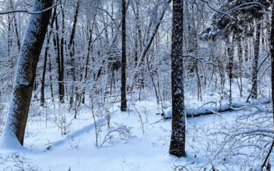 How to Navigate Hiking Trails in Heavy Snow