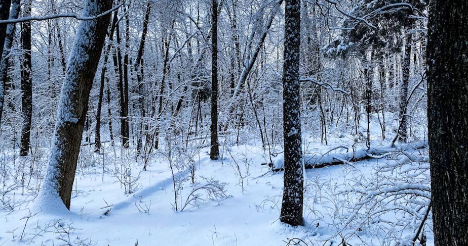 How to Navigate Hiking Trails in Heavy Snow