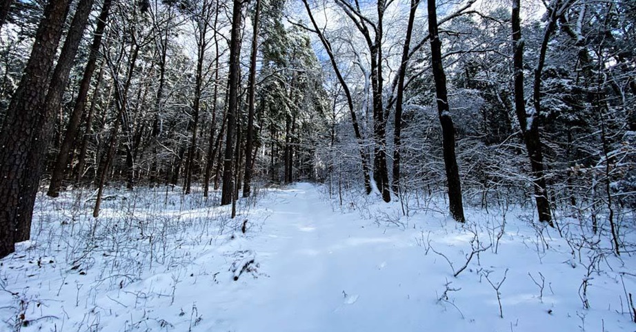 Navigate Hiking Trails in Heavy Snow Navigate Hiking Trails in Heavy Snow