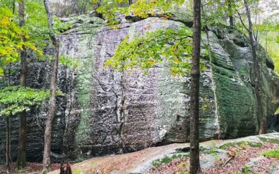 10 Southern Illinois Hiking Spots to Work Off Your Thanksgiving Dinner