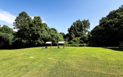 Wickliffe Mounds Visitor Guide