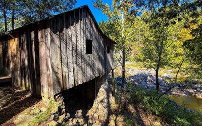 Klepzig Mill Video Guide