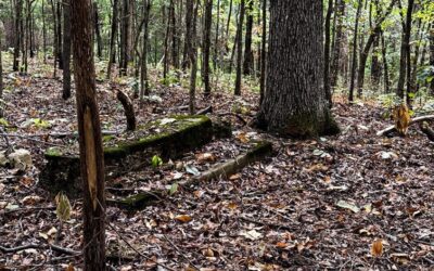 Abandoned Places at Land Between the Lakes Video