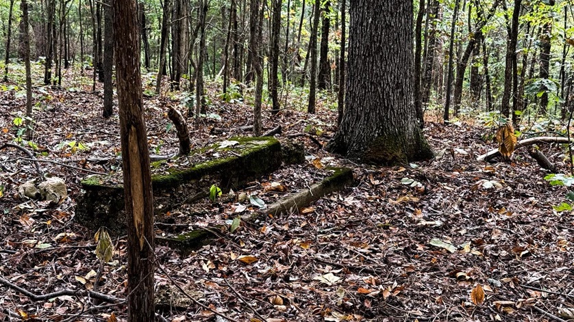 Abandoned Places at Land Between the Lakes Video