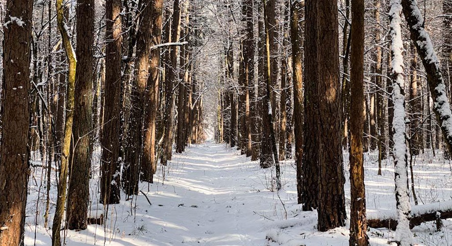 Preventing Frostbite and Hypothermia