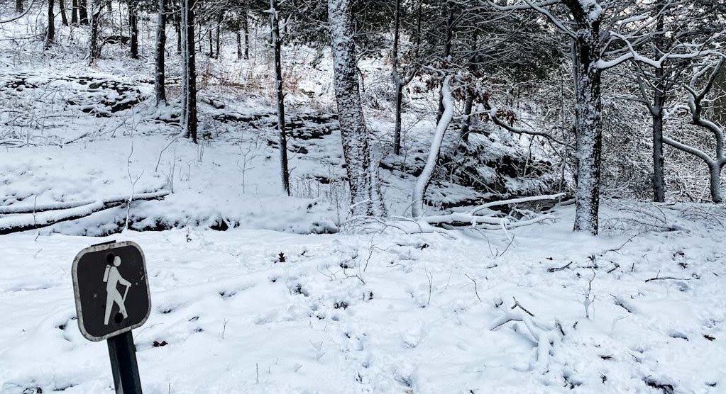 Preventing Frostbite and Hypothermia on a Day Hike