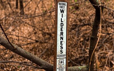 10 Shawnee Forest Loop Hiking Trails to do This Hiking Season!