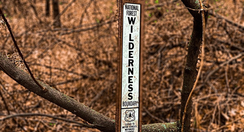 10 Shawnee Forest Loop Hiking Trails to do This Hiking Season!