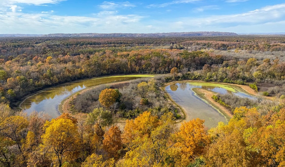 Fall Colors at Horseshoe Bluff Video