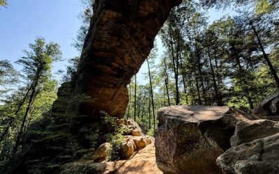 Grays Arch Trail Guide