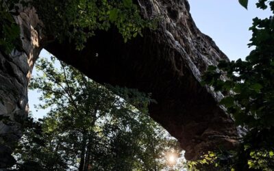 Natural Bridge State Resort Park Guide