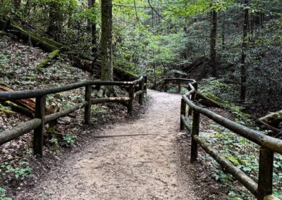 Natural Bridge State Resort Park Trail