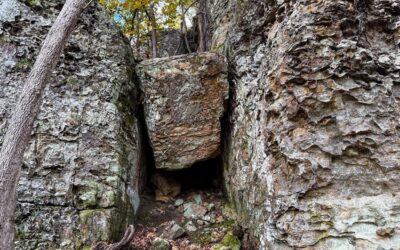 New Trail at Garden of the Gods Video