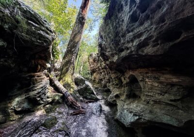 Pickle Springs Natural Area