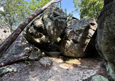 Pickle Springs Natural Area Bluffage