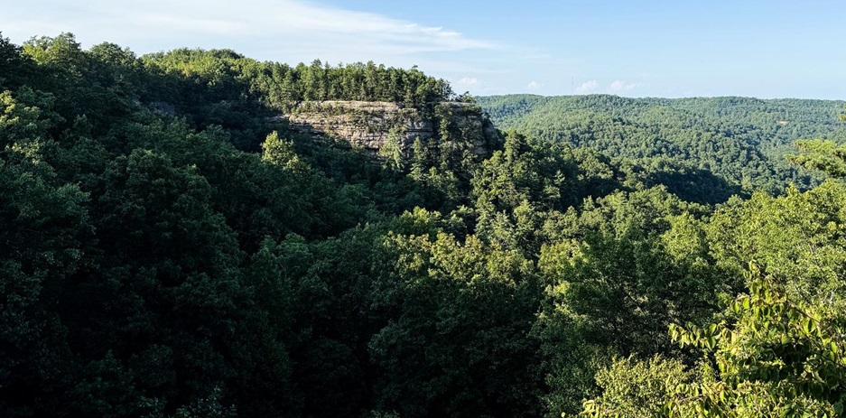 Top of Natural Bridge Overlook