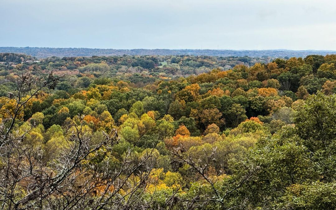 Cedar Bluff Fall Colors Video