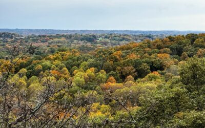 Cedar Bluff Fall Colors Video